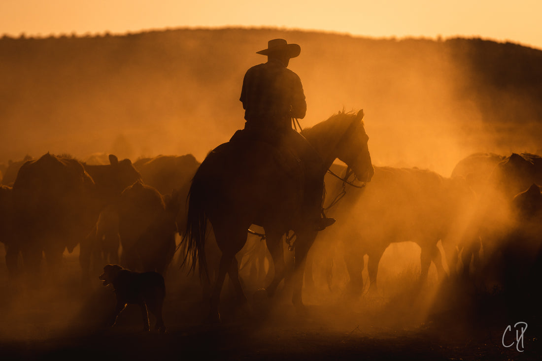 A Conversation with Ranch Life photographer Chris DIcksinson