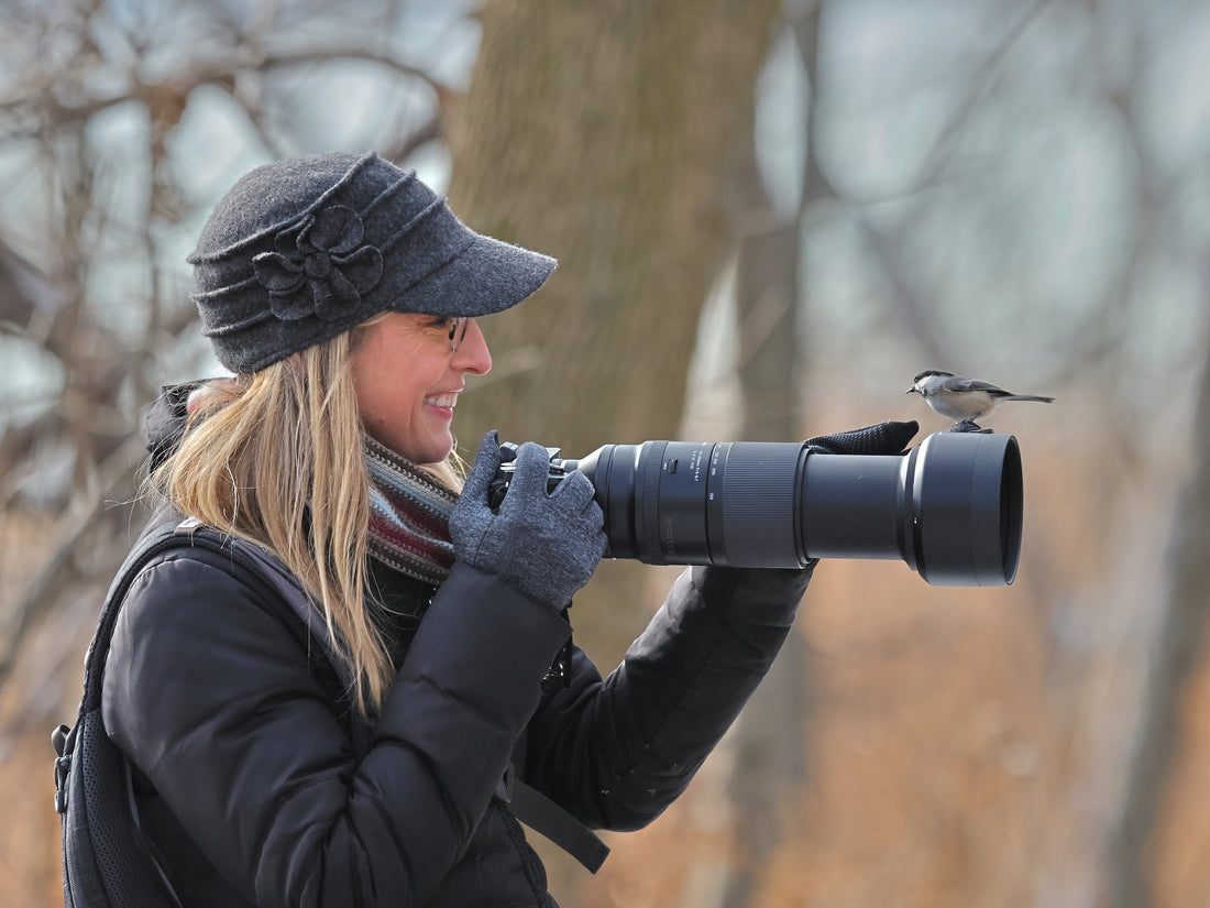 An Interview bird photographer Candace Lee